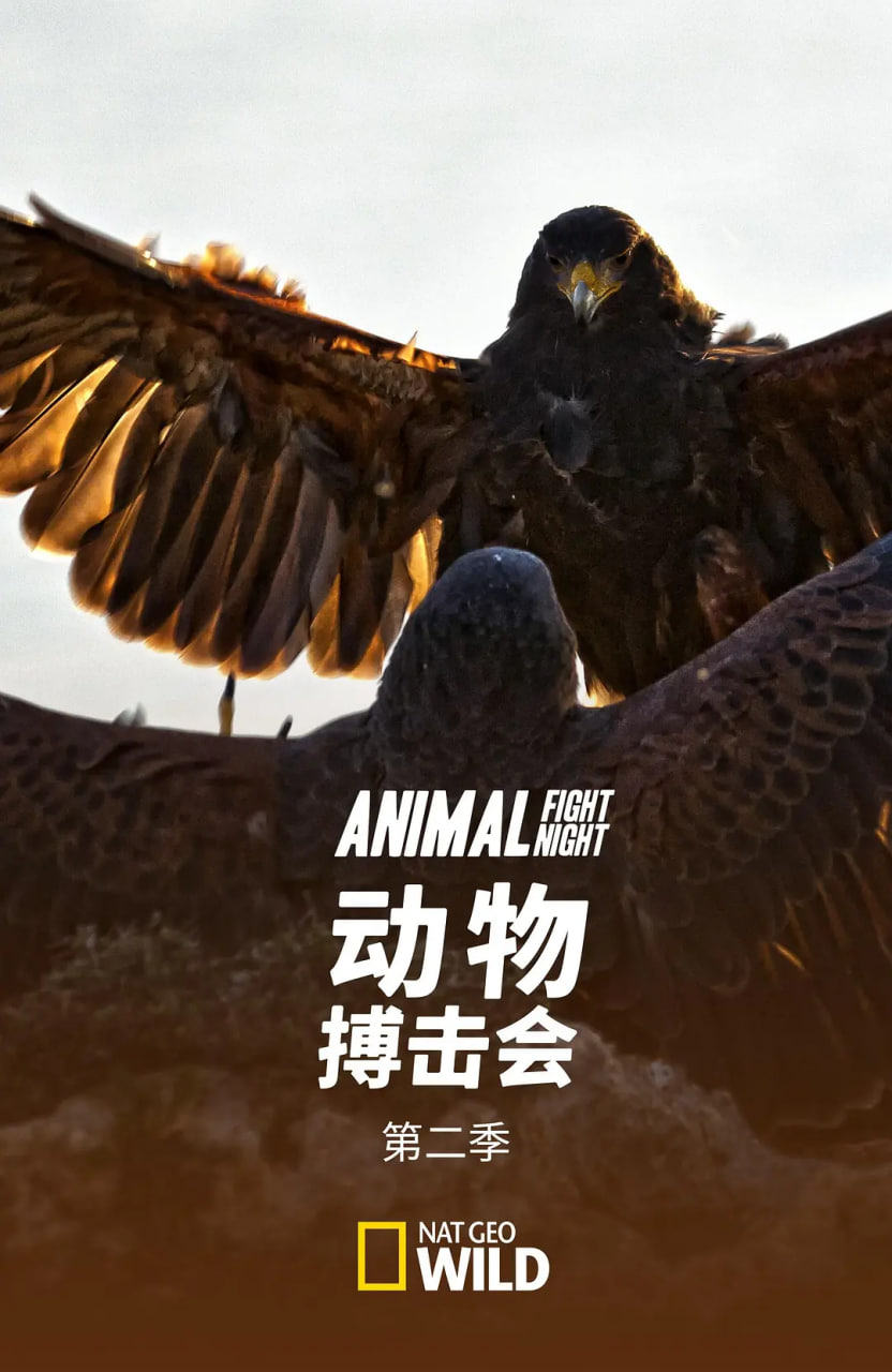 动物搏击会Ⅱ