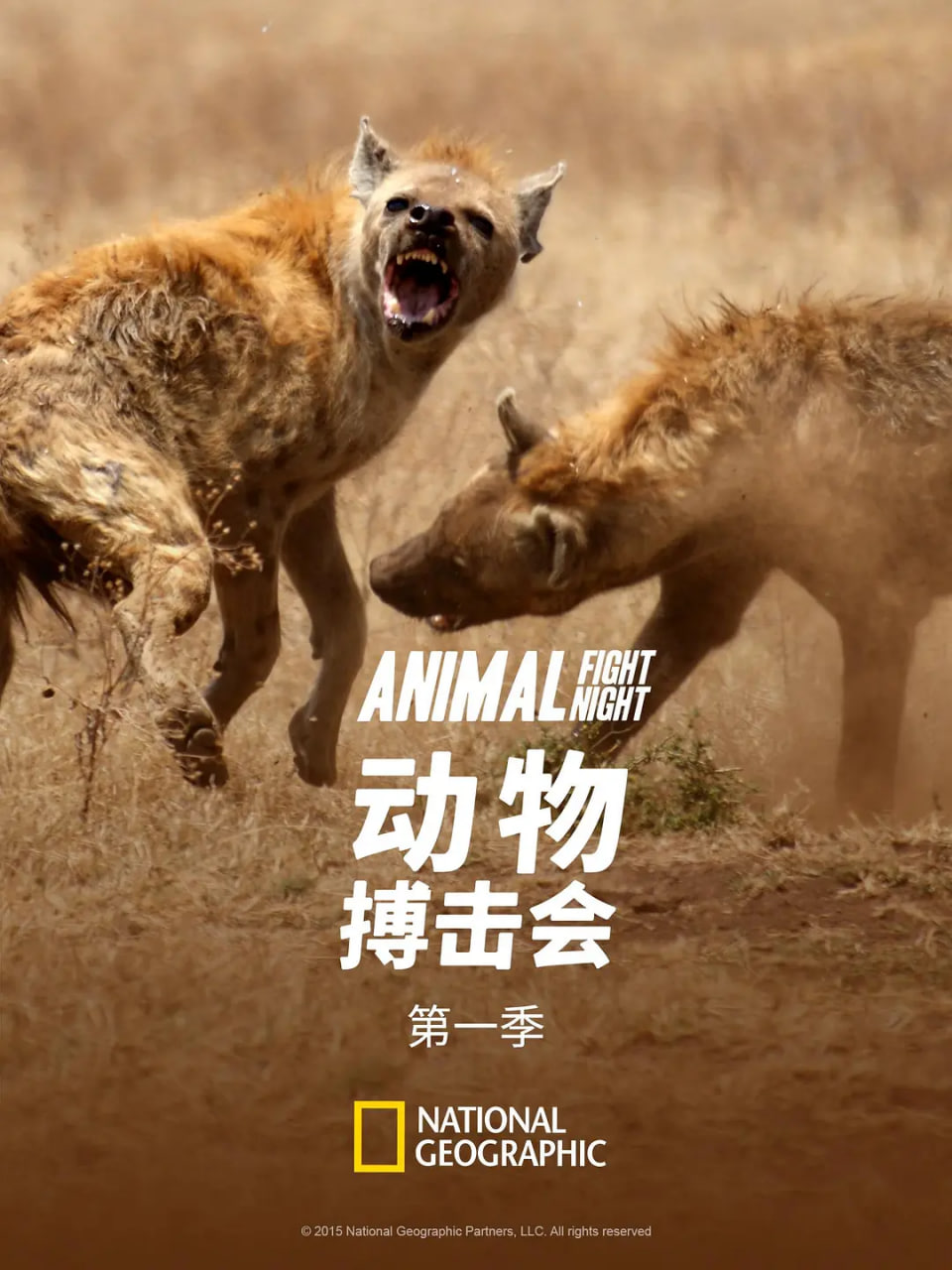 动物搏击会Ⅰ